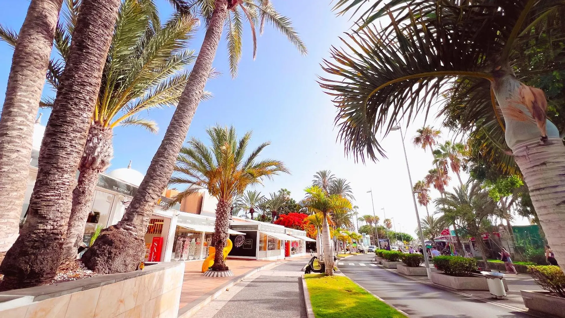 Ocean View! Parque Las Americas! Heated Pool, Ac! La05 Playa de las Americas  Spain